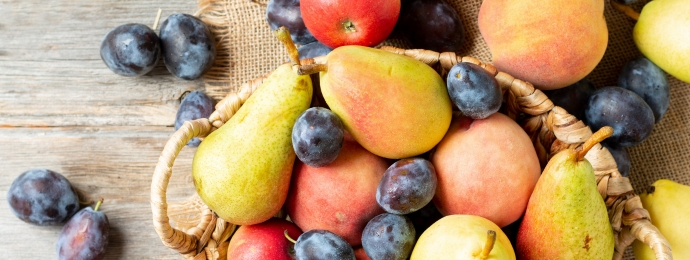 Jak schudnąć po wakacjach Szczecin Dom Lekarski